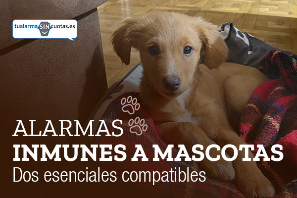 Alarmas inmunes a mascotas