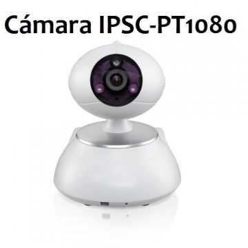 Camara IPSC