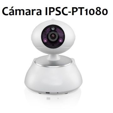 Camara IPSC